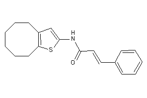 N-(4,5,6,7,8,9-hexahydrocycloocta[b]thiophen-2-yl)-3-phenyl-acrylamide