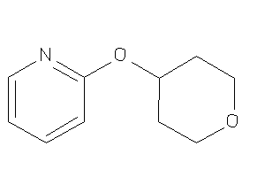 2-tetrahydropyran-4-yloxypyridine