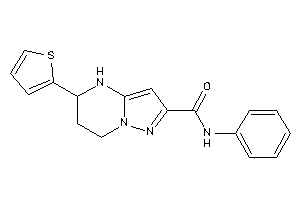 N-phenyl-5-(2-thienyl)-4,5,6,7-tetrahydropyrazolo[1,5-a]pyrimidine-2-carboxamide