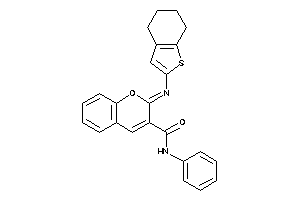 N-phenyl-2-(4,5,6,7-tetrahydrobenzothiophen-2-ylimino)chromene-3-carboxamide