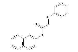 2-phenoxyacetic Acid 2-naphthyl Ester