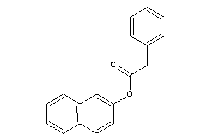 2-phenylacetic Acid 2-naphthyl Ester