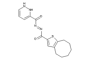 N-(4,5,6,7,8,9-hexahydrocycloocta[b]thiophene-2-carbonylimino)-1,2-dihydropyridazine-3-carboxamide