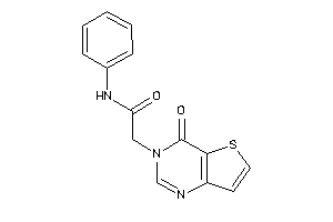 2-(4-ketothieno[3,2-d]pyrimidin-3-yl)-N-phenyl-acetamide
