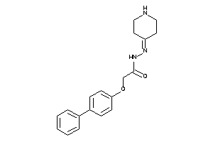 2-(4-phenylphenoxy)-N-(4-piperidylideneamino)acetamide