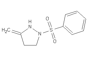 1-besyl-3-methylene-pyrazolidine