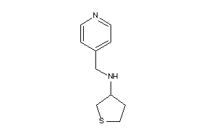 4-pyridylmethyl(tetrahydrothiophen-3-yl)amine