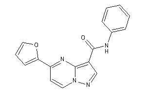 5-(2-furyl)-N-phenyl-pyrazolo[1,5-a]pyrimidine-3-carboxamide