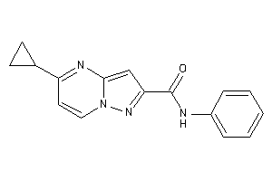 5-cyclopropyl-N-phenyl-pyrazolo[1,5-a]pyrimidine-2-carboxamide