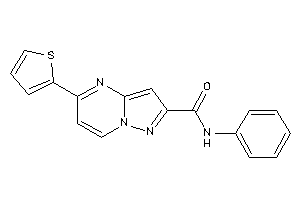 N-phenyl-5-(2-thienyl)pyrazolo[1,5-a]pyrimidine-2-carboxamide