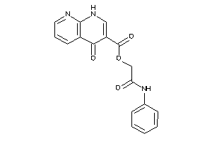 4-keto-1H-1,8-naphthyridine-3-carboxylic Acid (2-anilino-2-keto-ethyl) Ester