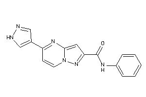 N-phenyl-5-(1H-pyrazol-4-yl)pyrazolo[1,5-a]pyrimidine-2-carboxamide