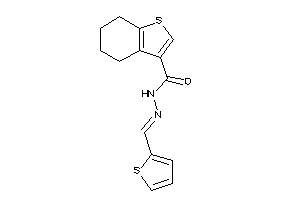 N-(2-thenylideneamino)-4,5,6,7-tetrahydrobenzothiophene-3-carboxamide