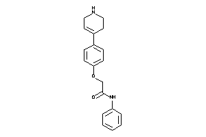 N-phenyl-2-[4-(1,2,3,6-tetrahydropyridin-4-yl)phenoxy]acetamide