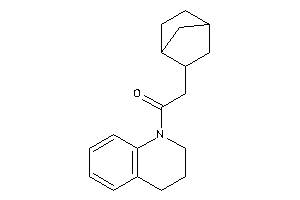 1-(3,4-dihydro-2H-quinolin-1-yl)-2-(2-norbornyl)ethanone