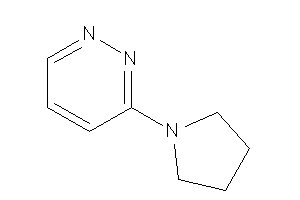 3-pyrrolidinopyridazine