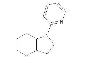 1-pyridazin-3-yl-2,3,3a,4,5,6,7,7a-octahydroindole