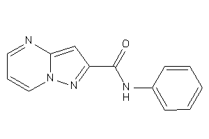 N-phenylpyrazolo[1,5-a]pyrimidine-2-carboxamide