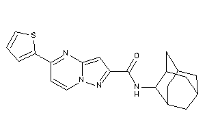 N-(2-adamantyl)-5-(2-thienyl)pyrazolo[1,5-a]pyrimidine-2-carboxamide