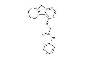 N-phenyl-2-(5,6,7,8-tetrahydrobenzothiopheno[2,3-d]pyrimidin-4-ylamino)acetamide