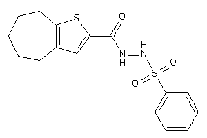 N'-besyl-5,6,7,8-tetrahydro-4H-cyclohepta[b]thiophene-2-carbohydrazide