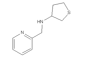 2-pyridylmethyl(tetrahydrothiophen-3-yl)amine