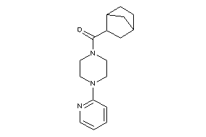 2-norbornyl-[4-(2-pyridyl)piperazino]methanone