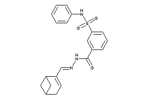 N-(4-bicyclo[3.1.1]hept-3-enylmethyleneamino)-3-(phenylsulfamoyl)benzamide