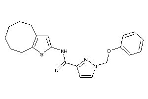 N-(4,5,6,7,8,9-hexahydrocycloocta[b]thiophen-2-yl)-1-(phenoxymethyl)pyrazole-3-carboxamide