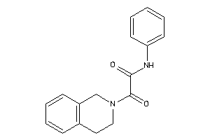 2-(3,4-dihydro-1H-isoquinolin-2-yl)-2-keto-N-phenyl-acetamide