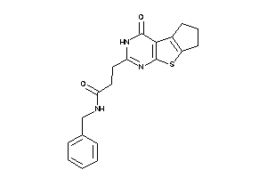 N-benzyl-3-(ketoBLAHyl)propionamide