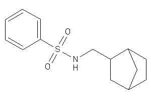 N-(2-norbornylmethyl)benzenesulfonamide