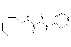 N-cyclooctyl-N'-phenyl-oxamide