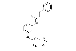 2-phenoxy-N-[3-(tetrazolo[5,1-f]pyridazin-6-ylamino)phenyl]acetamide