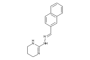 (2-naphthylmethyleneamino)-(1,4,5,6-tetrahydropyrimidin-2-yl)amine
