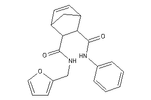 N'-(2-furfuryl)-N-phenyl-bicyclo[2.2.1]hept-2-ene-5,6-dicarboxamide