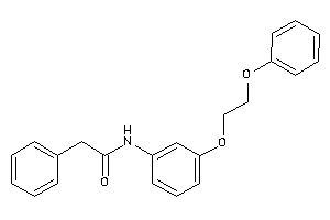 N-[3-(2-phenoxyethoxy)phenyl]-2-phenyl-acetamide