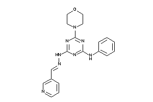 (4-anilino-6-morpholino-s-triazin-2-yl)-(3-pyridylmethyleneamino)amine