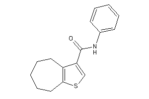 N-phenyl-5,6,7,8-tetrahydro-4H-cyclohepta[b]thiophene-3-carboxamide