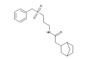 N-(3-benzylsulfonylpropyl)-2-(2-norbornyl)acetamide