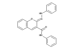 N-phenyl-2-(phenylhydrazono)chromene-3-carboxamide