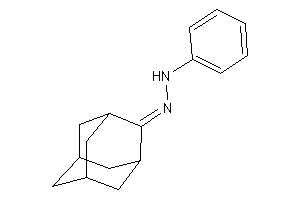 (2-adamantylideneamino)-phenyl-amine