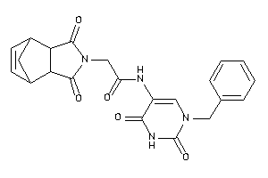 N-(1-benzyl-2,4-diketo-pyrimidin-5-yl)-2-(diketoBLAHyl)acetamide