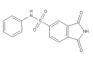 1,3-diketo-N-phenyl-isoindoline-5-sulfonamide