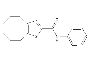 N-phenyl-4,5,6,7,8,9-hexahydrocycloocta[b]thiophene-2-carboxamide