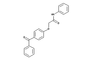 Image of 2-(4-benzoylphenoxy)-N-phenyl-acetamide