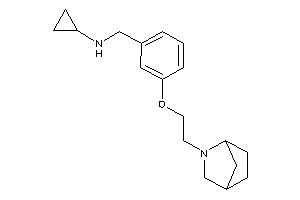 [3-[2-(5-azabicyclo[2.2.1]heptan-5-yl)ethoxy]benzyl]-cyclopropyl-amine