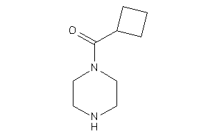 Cyclobutyl(piperazino)methanone