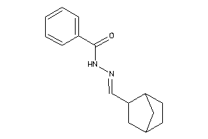 N-(2-norbornylmethyleneamino)benzamide