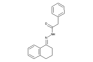 2-phenyl-N-(tetralin-1-ylideneamino)acetamide